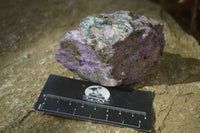 Natural Rough Stichtite & Serpentine Specimens x 12 From South Africa