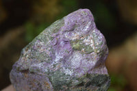 Natural Rough Stichtite & Serpentine Specimens x 12 From South Africa