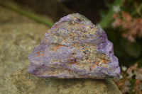 Natural Rough Stichtite & Serpentine Specimens x 12 From South Africa