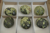 Polished Leopard Stone Galets  x 6 From Zimbabwe