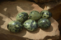 Polished Leopard Stone Galets  x 6 From Zimbabwe