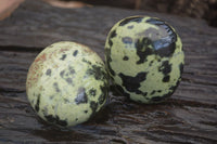 Polished Leopard Stone Galets  x 6 From Zimbabwe