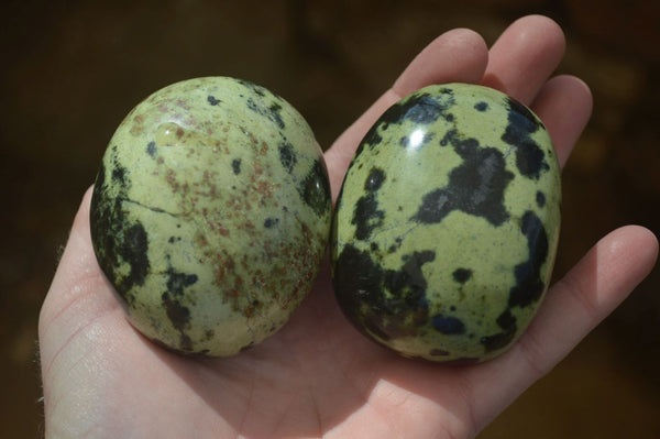 Polished Leopard Stone Galets  x 6 From Zimbabwe