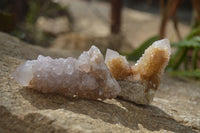 Natural Mixed Spirit Quartz Specimens  x 12 From South Africa