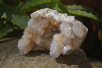 Natural Mixed Spirit Quartz Specimens  x 12 From South Africa