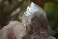 Natural Red Hematite Quartz Specimens  x 2 From Zimbabwe