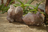 Natural Red Hematite Quartz Specimens  x 2 From Zimbabwe