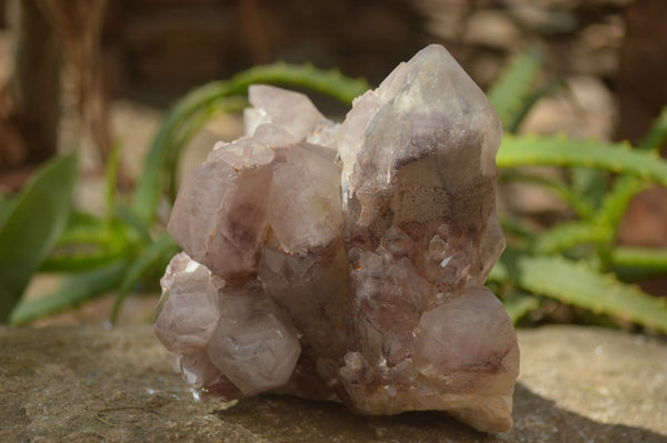 Natural Red Hematite Quartz Specimens  x 2 From Zimbabwe