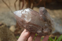 Natural Red Hematite Quartz Specimens  x 2 From Zimbabwe