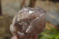 Natural Red Hematite Quartz Specimens  x 2 From Zimbabwe