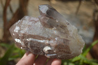 Natural Red Hematite Quartz Specimens  x 2 From Zimbabwe