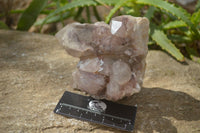 Natural Red Hematite Quartz Specimens  x 2 From Zimbabwe