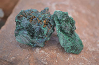 Natural Chatoyant Silky Malachite Specimens  x 20 From Congo