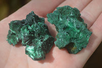 Natural Chatoyant Silky Malachite Specimens  x 20 From Congo