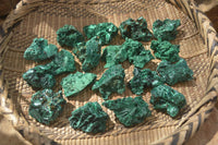 Natural Chatoyant Silky Malachite Specimens  x 20 From Congo