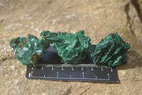 Natural Chatoyant Silky Malachite Specimens  x 20 From Congo