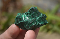 Natural Chatoyant Silky Malachite Specimens  x 20 From Congo