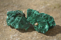 Natural Chatoyant Silky Malachite Specimens  x 20 From Congo