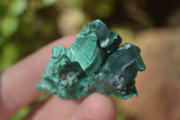 Natural Chatoyant Silky Malachite Specimens  x 20 From Congo