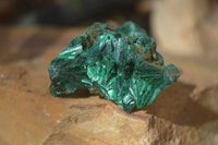 Natural Chatoyant Silky Malachite Specimens  x 20 From Congo