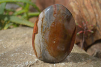 Polished Polychrome Jasper Standing Free Forms  x 4 From Madagascar