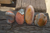 Polished Polychrome Jasper Standing Free Forms  x 4 From Madagascar