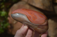 Polished Polychrome Jasper Standing Free Forms  x 4 From Madagascar