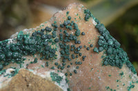 Natural Rare Ball Malachite On Drusy Quartz Dolomite Specimens x 2 From Congo