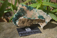 Natural Rare Ball Malachite On Drusy Quartz Dolomite Specimens  x 2 From Congo