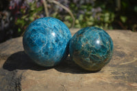 Polished Blue Apatite Spheres  x 2 From Madagascar