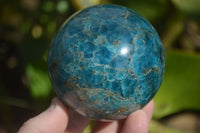 Polished Blue Apatite Spheres  x 2 From Madagascar