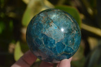 Polished Blue Apatite Spheres  x 2 From Madagascar