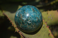 Polished Blue Apatite Spheres  x 2 From Madagascar