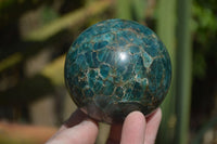 Polished Blue Apatite Spheres  x 2 From Madagascar