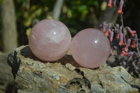 Polished Rare Star Rose Quartz Spheres x 3 From Madagascar