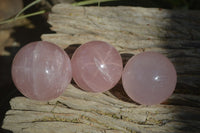 Polished Rare Star Rose Quartz Spheres x 3 From Madagascar