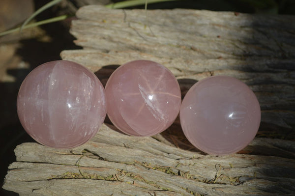 Polished Rare Star Rose Quartz Spheres x 3 From Madagascar