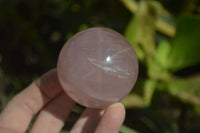 Polished Rare Star Rose Quartz Spheres x 3 From Madagascar