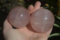 Polished Rare Star Rose Quartz Spheres x 3 From Madagascar