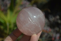 Polished Rare Star Rose Quartz Spheres x 3 From Madagascar