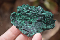 Natural Chatoyant Silky Malachite Specimens  x 12 From Congo