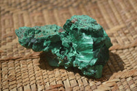 Natural Chatoyant Silky Malachite Specimens  x 12 From Congo