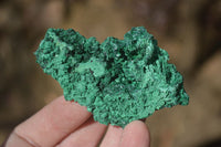 Natural Chatoyant Silky Malachite Specimens  x 12 From Congo