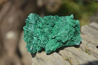 Natural Chatoyant Silky Malachite Specimens  x 12 From Congo