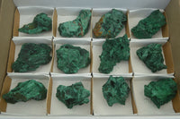 Natural Chatoyant Silky Malachite Specimens  x 12 From Congo