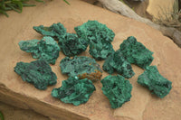 Natural Chatoyant Silky Malachite Specimens  x 12 From Congo