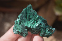 Natural Chatoyant Silky Malachite Specimens  x 12 From Congo