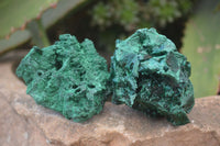 Natural Chatoyant Silky Malachite Specimens  x 12 From Congo