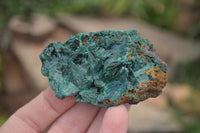 Natural Chatoyant Silky Malachite Specimens  x 12 From Congo