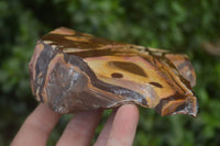 Polished One side Polished Nguni Jasper Slices  x 6 From Southern Africa